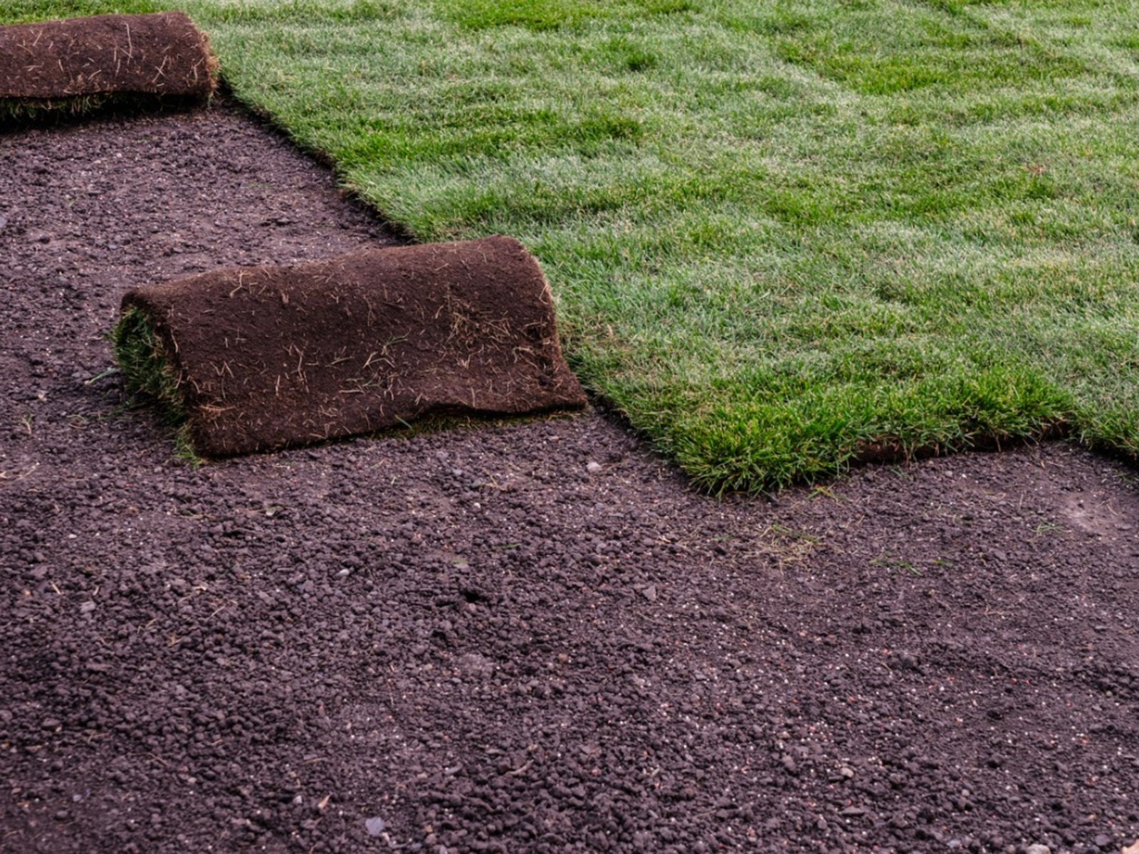 Sod Installation project 5