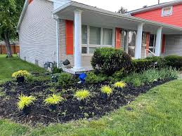 Tree & Shrub Planting project 5