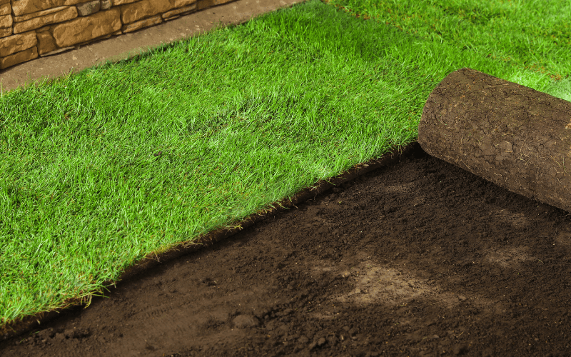Sod Installation Services in Horseshoe Bay, TX