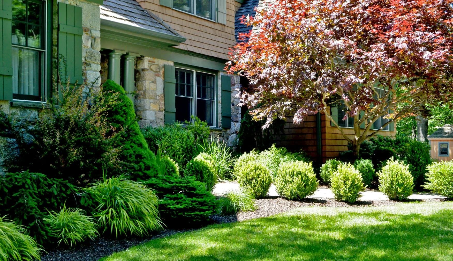 Tree & Shrub Planting Services in Horseshoe Bay, TX
